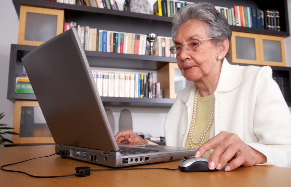 Senioren erfreut vor Computer